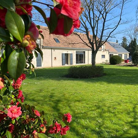 Au Ginkgo Bed & Breakfast Chaumont-sur-Loire Eksteriør bilde