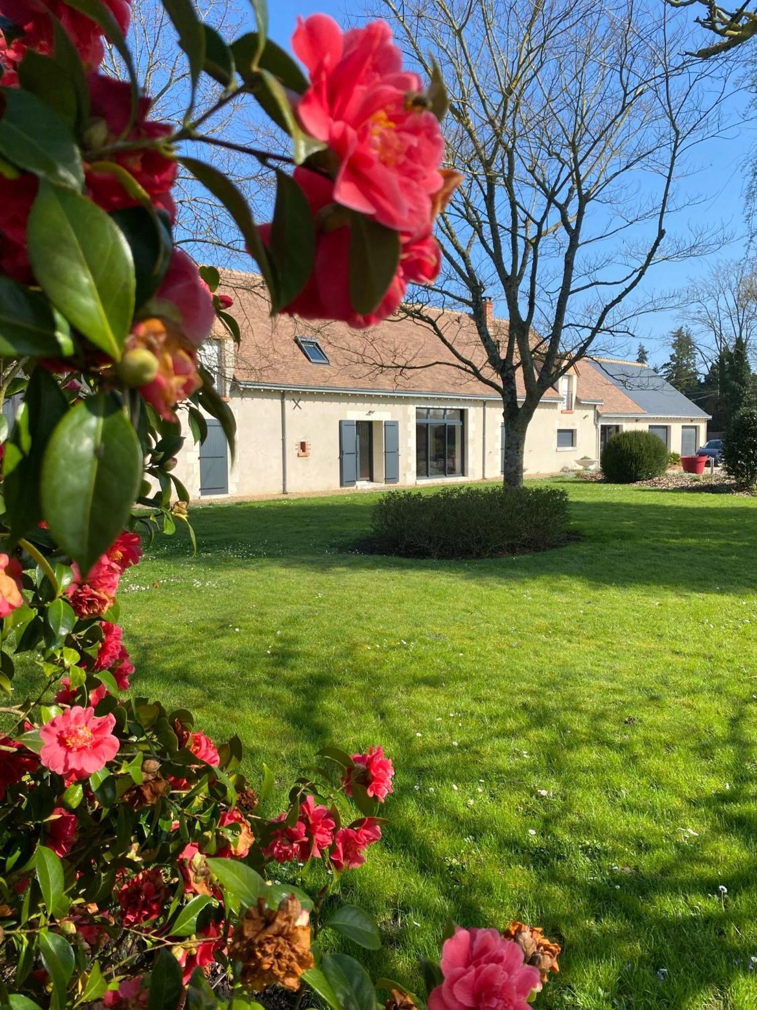 Au Ginkgo Bed & Breakfast Chaumont-sur-Loire Eksteriør bilde